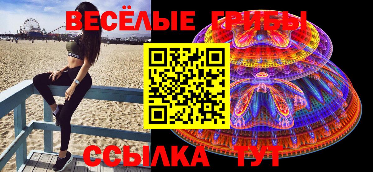 Вязьма  Галлюциногенные грибы Cubensis  Вход с VPN 